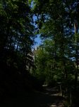 FZ016796 Burg Eltz through trees.jpg